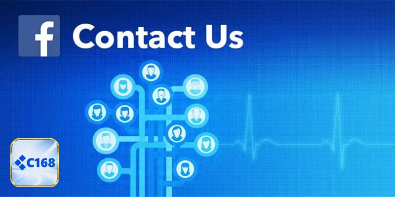 Liên Hệ c1688 - Hotline, chat trực tuyến và email hỗ trợ