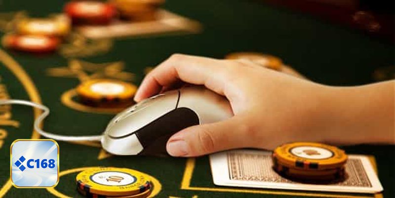 Giấy Phép Hợp Pháp - Từ chứng nhận đến trải nghiệm thực tế của người dùng