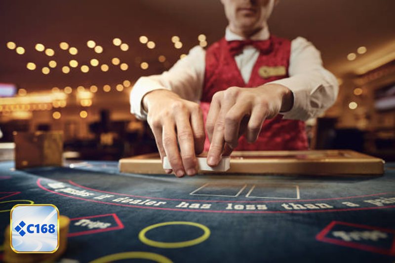 Casino c1688 - Hệ sinh thái đối tác đa dạng, chất lượng hiển thị ổn định